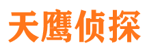 兰考调查公司